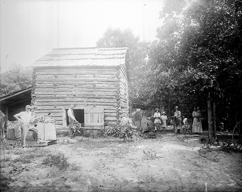 Curing tobacco. From the Barden Collection, North Carolina State Archives, call #: N.53.16.4450.