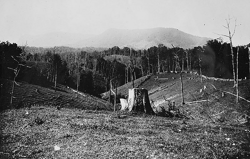 First Views of Humpback, sept 19, 1908, near old corner tree Bicknell Photograph Collection, North Carolina State Archives, call #: PhC8_78, Raleigh, NC.