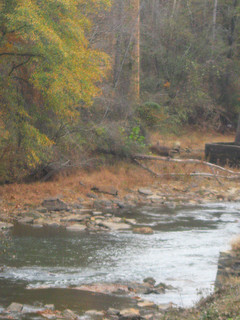 Paceolet River, Spartanburg, SC. Image courtesy of Flickr user Becky Pittman.
